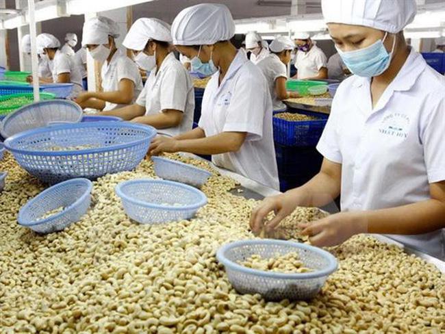 Ngày 9/3, Hiệp hội điều Việt Nam (VINACAS) cho biết đã làm việc với phía ngân hàng và các hãng vận chuyển để làm rõ thông tin một số doanh nghiệp điều xuất khẩu Việt có dấu hiệu bị đối tác tại Ý lừa đảo.