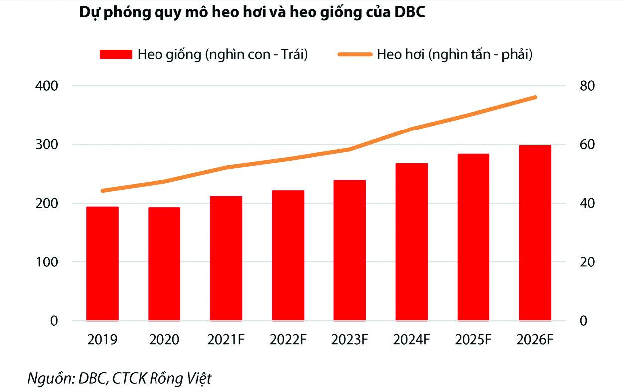 Dự phóng quy mô heo hơi và heo giống của DBC.