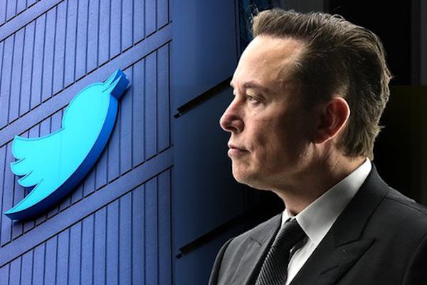 Elon Musk gia nhập ban lãnh đạo Twitter sau khi trở thành cổ đông lớn nhất tại công ty (ảnh: Fox)