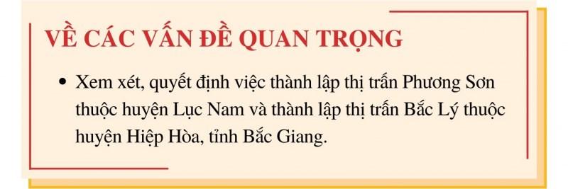 Chương trình phiên họp thứ 11 của Ủy ban Thường vụ Quốc hội - Ảnh 6