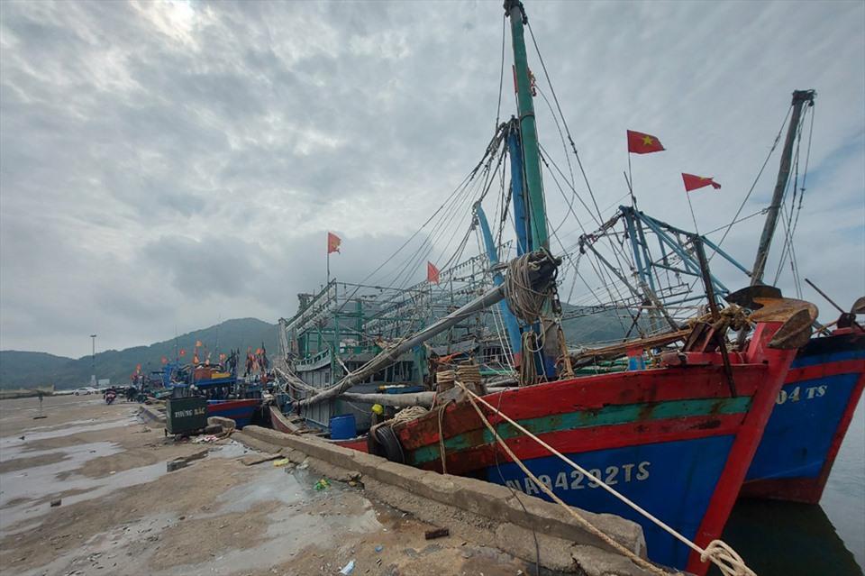 Ảnh hưởng không khí lạnh nên tàu đã neo đậu kín cảng cá Cửa Sót. Ảnh: Trần Tuấn.