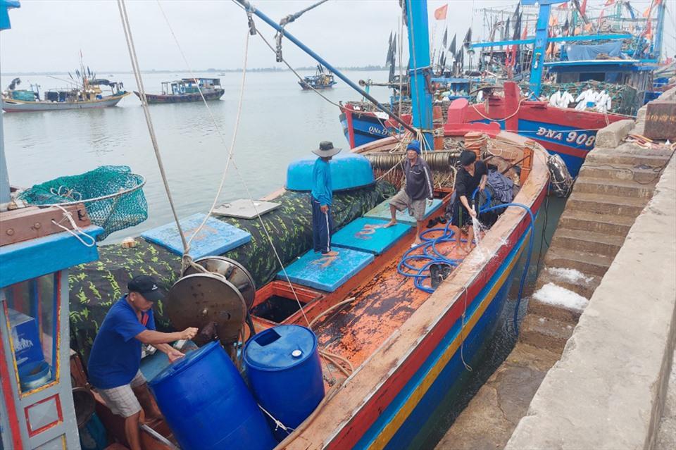 Ra khơi 3 ngày, một tàu cá trúng lớn thu về hơn 170 triệu đồng