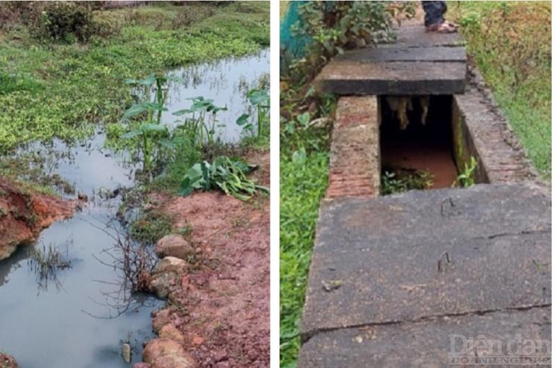 Không được thu gom, toàn bộ nước thải sinh hoạt khu tái định cư thôn 1, xã Quảng Phong trực tiếp xả ra môi trường ngay sát khu dân cư, gây ô nhiễm.