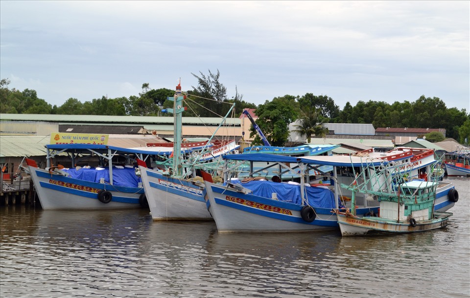 Cơn bão giá xăng dầu đã làm cho nhiều tàu đánh bắt xa bờ chấp nhận nằm bờ. Ảnh: TM