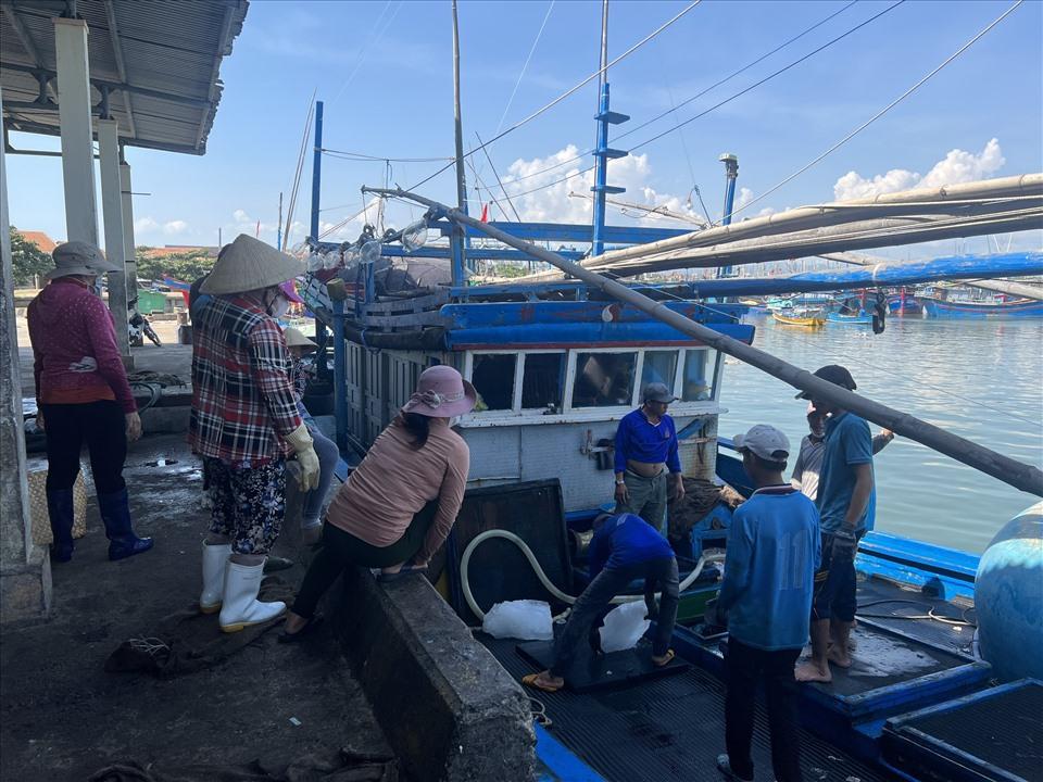 Nhiều tàu cá vẫn cố gắng bám biển để khai thác dù có thể đối diện với nguy cơ lỗ vốn.