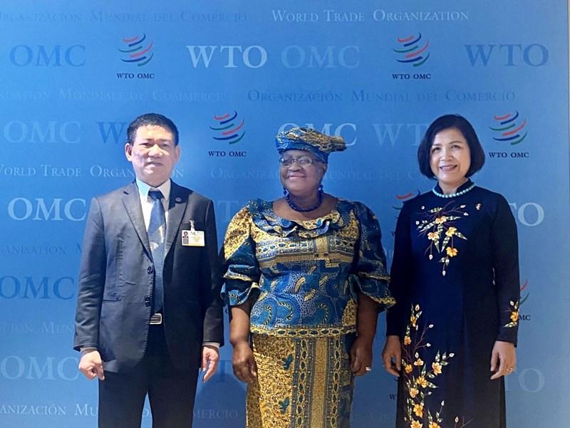 Bộ trưởng Hồ Đức Phớc, Tổng Giám đốc WTO Ngozi Okonjo-Iweala và Đại sứ Lê Thị Tuyết Mai - Trưởng phái đoàn thường trực của Việt Nam tại Liên hợp quốc trong buổi làm việc ngày 14/7/2022.