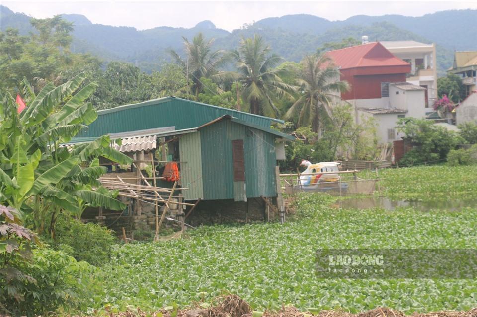Ngày 28.6, UBND tỉnh Hòa Bình đã có văn bản chỉ đạo UBND thành phố Hòa Bình chủ trì phối hợp với các cơ quan liên quan kiểm tra, rà soát và xử nghiêm các sai phạm (nếu có) theo thẩm quyền... Báo cáo Chủ tịch UBND tỉnh kết quả giải quyết trước ngày 10.7.2022.
