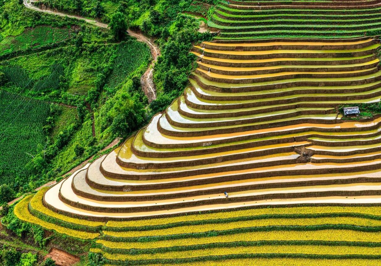 nang tam tu duy hoan thien the che de vung trung du va mien nui phia bac cat canh