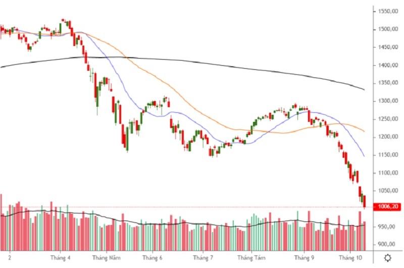 VN-Index tiếp tục suy giảm và kiểm tra vùng hỗ trợ tâm lý 1.000 điểm. (Nguồn: VDSC)