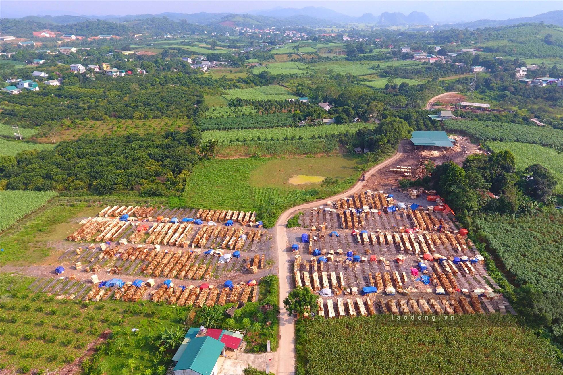 Hòa Bình: Lập đoàn kiểm tra, xử lý các xưởng chế biến gỗ keo hoạt động chui