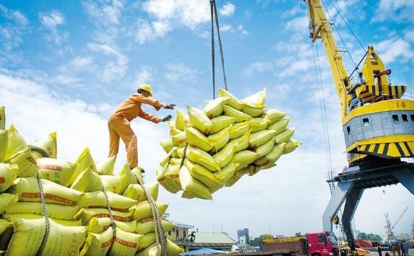 Xuất khẩu gạo đón tín hiệu vui