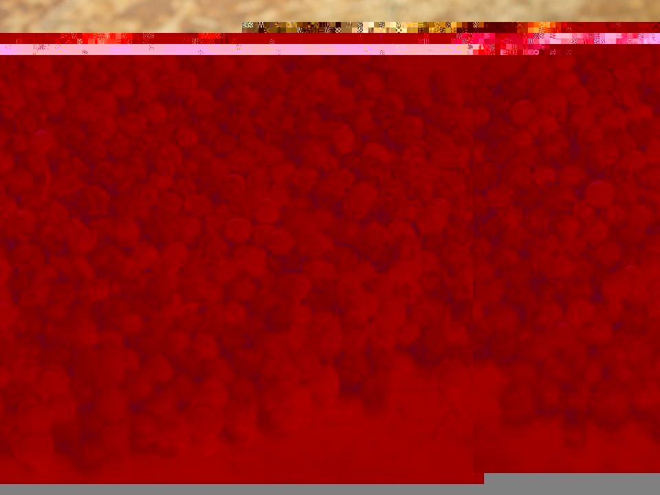 -7363-1679276822.jpg