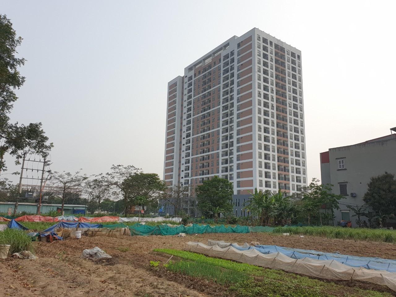 Ngăn chặn trục lợi nhà ở xã hội tại Bắc Ninh