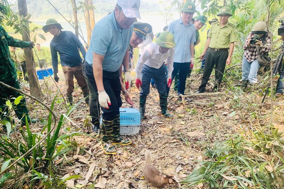 Tiến hành thả 150 cá thể động vật hoang dã về tự nhiên. Ảnh: Trần Tuấn.