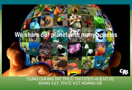 cites.png