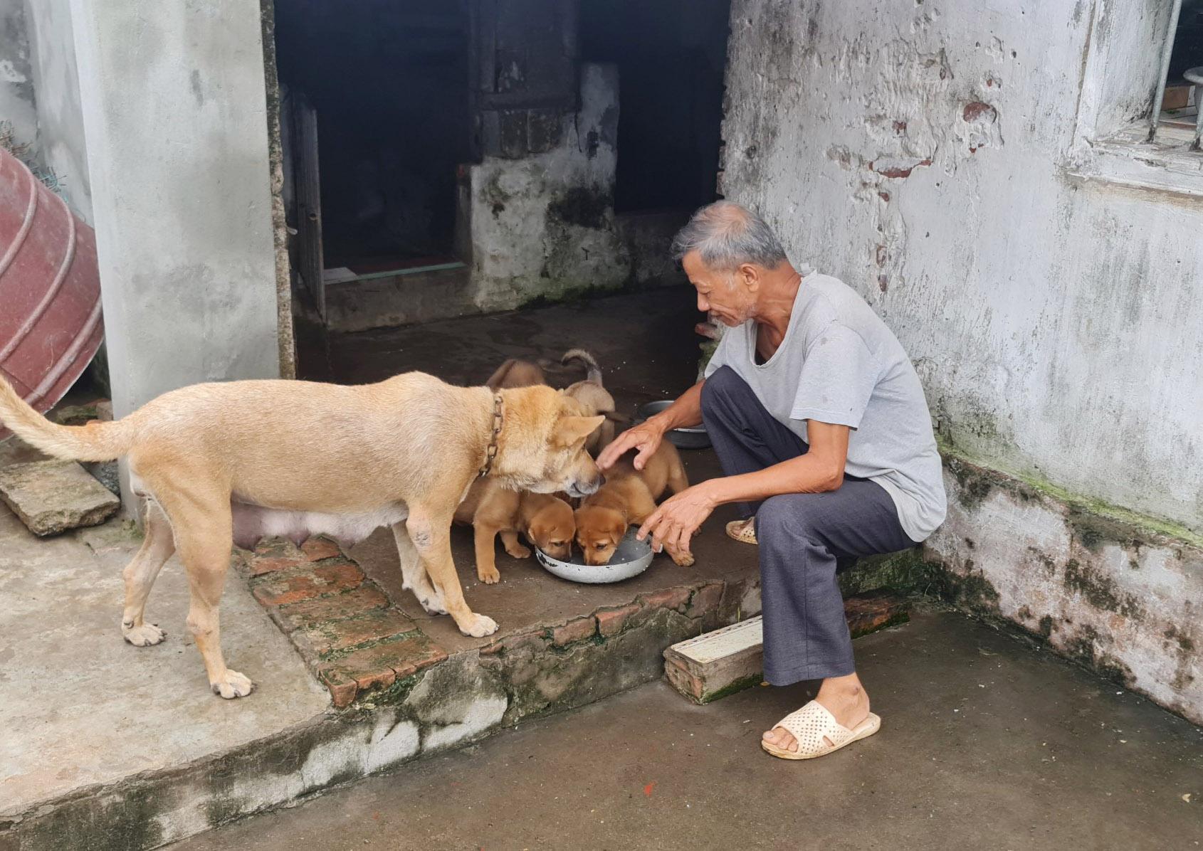 Ông Vinh chăm đàn chó con mới đẻ để bán lấy tiền trang trải cuộc sống. Ảnh: Mạnh Cường.