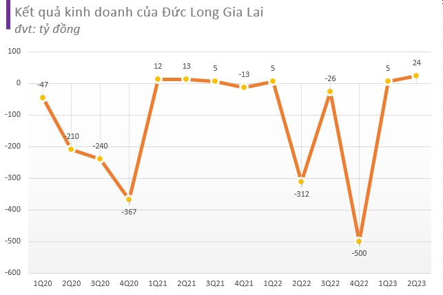 Đức Long Gia Lai (DLG) bị yêu cầu mở thủ tục phá sản - Ảnh 1.