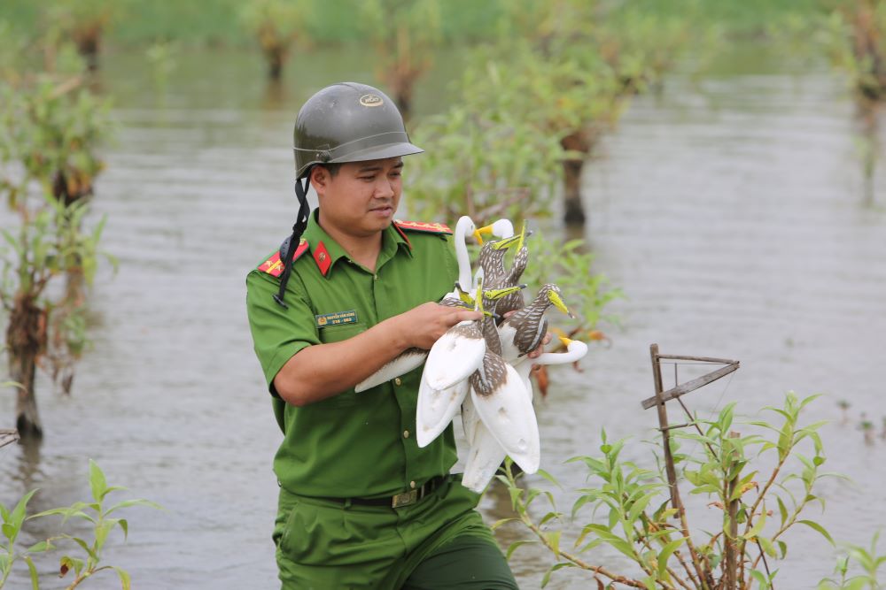 Lực lượng chức năng gỡ các hình nộm chim trời trên cánh đồng. Ảnh: Quách Du