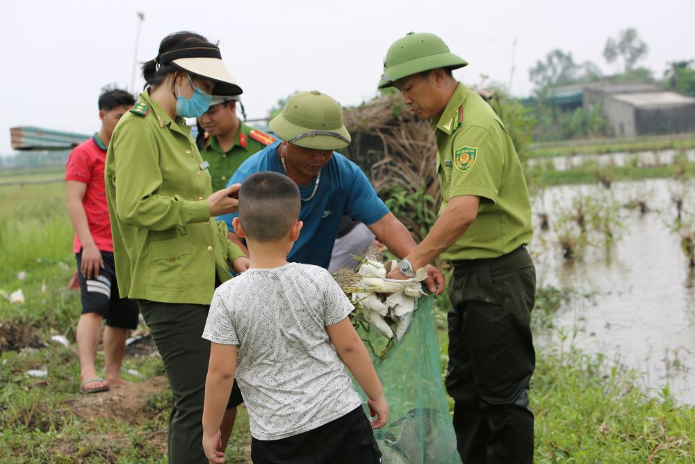 Cơ quan chức năng thu số chim trời bị mắc bẫy, sau đó tiến hành thả chúng về tự nhiên. Ảnh: Quách Du