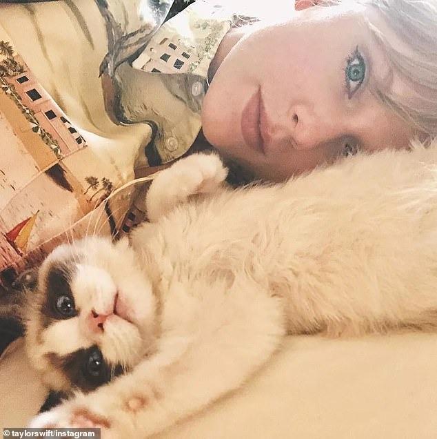 Mèo cưng mắt xanh "quý hơn vàng" của Taylor Swift mới xuất hiện sang trọng trên bìa tạp chí cùng chủ nhân, có giá trị ước tính 2.400 tỷ VNĐ - Ảnh 4.