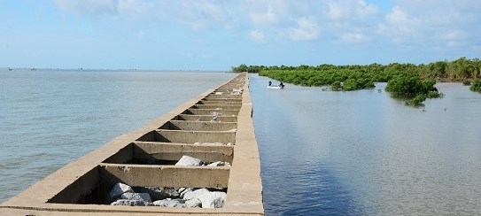 Chủ tịch Cà Mau chấn chỉnh việc chiếm dụng kè biển Tây nuôi hàu, vẹm xanh