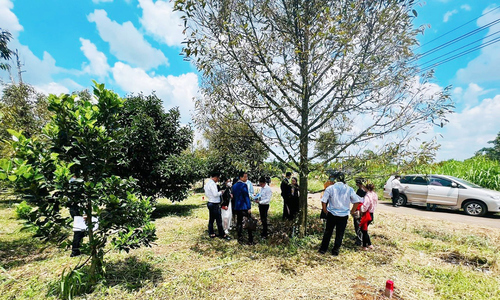 Bất động sản sầu riêng được đánh giá có tiềm năng nhưng cũng nhiều rủi ro (Ảnh minh họa: TL).