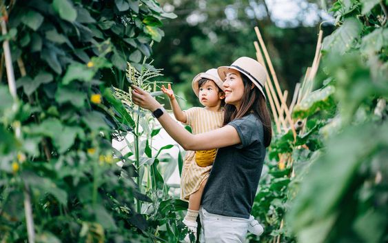 Có nên cho con cái biết điều kiện kinh tế của gia đình? Chia sẻ của một bà mẹ trẻ khiến nhiều bậc phụ huynh phải suy ngẫm- Ảnh 3.