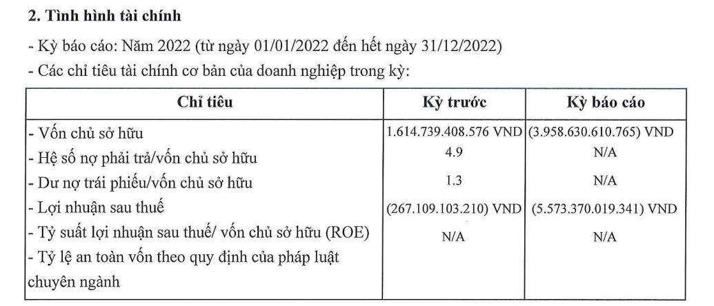 Doanh nghiệp nhận chuyển nhượng 1 phần dự án The Spirit of Saigon báo lỗ hơn 5.500 tỷ năm 2022- Ảnh 1.