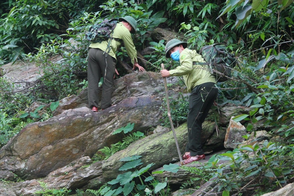 Ảnh minh họa