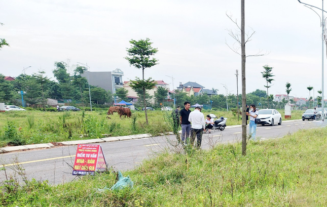 Bắc Giang tạm dừng giao dịch loạt lô đất vì đấu giá gian lận, thông đồng dìm giá- Ảnh 1.