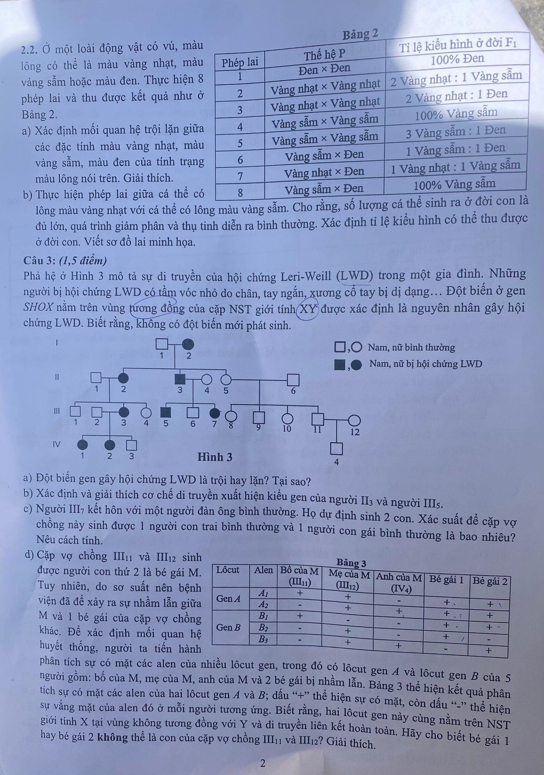 Đề thi Toán, Sinh học vào lớp 10 THPT chuyên Khoa học Tự nhiên Hà Nội- Ảnh 3.