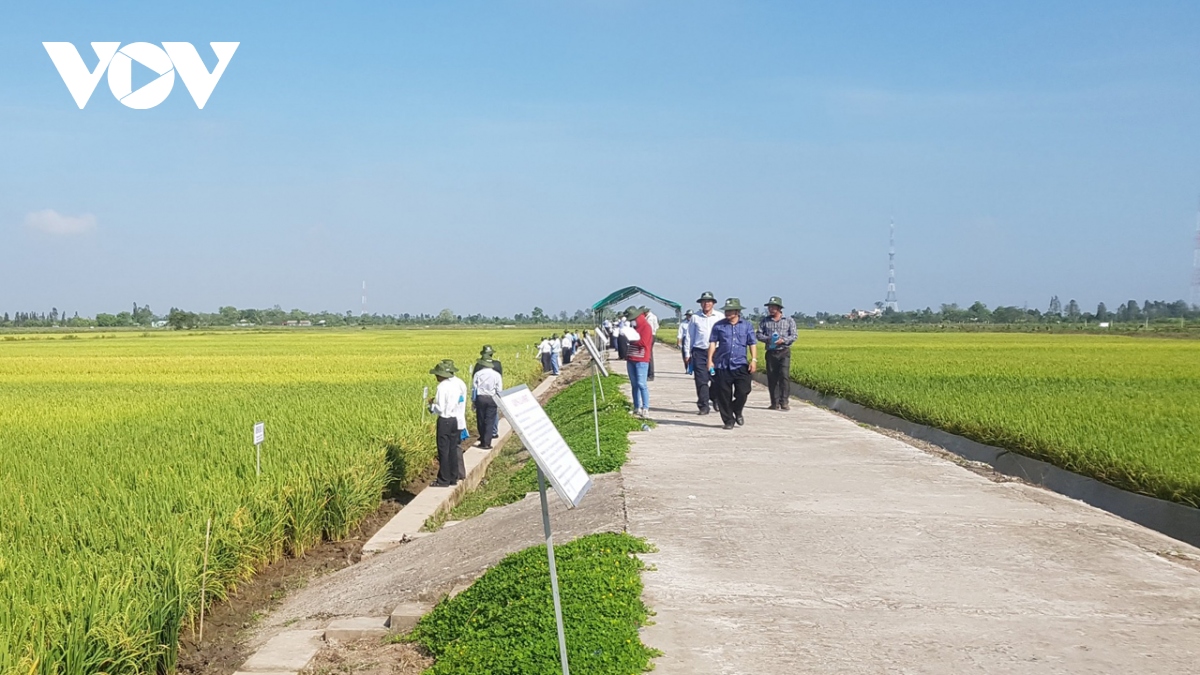 Việt Nam đứng trước cơ hội lớn để trở thành hình mẫu về kinh tế tuần hoàn- Ảnh 2.