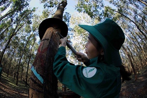 Công ty Caosu Chư Păh đồng hành cùng quyền lợi người lao động