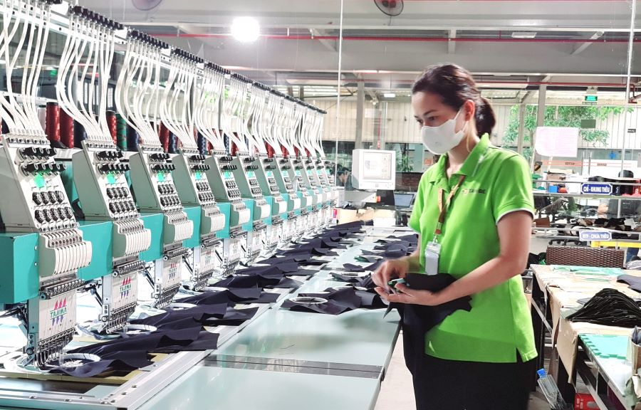 Công nhân lao động của Công ty Tân Đệ