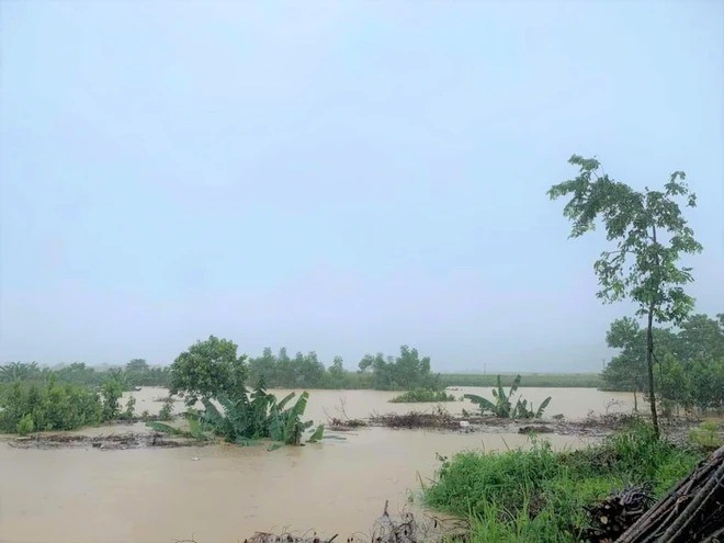 Mưa lũ do ảnh hưởng của cơn bão số 3 đã gây thiệt hại cho trên 600ha cây nông nghiệp ở Yên Bái. (Ảnh: TTXVN phát)