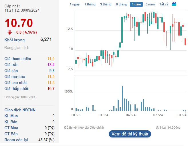 Ai đã mua 40% cổ phần một công ty chứng khoán chỉ trong 1 phiên?- Ảnh 1.