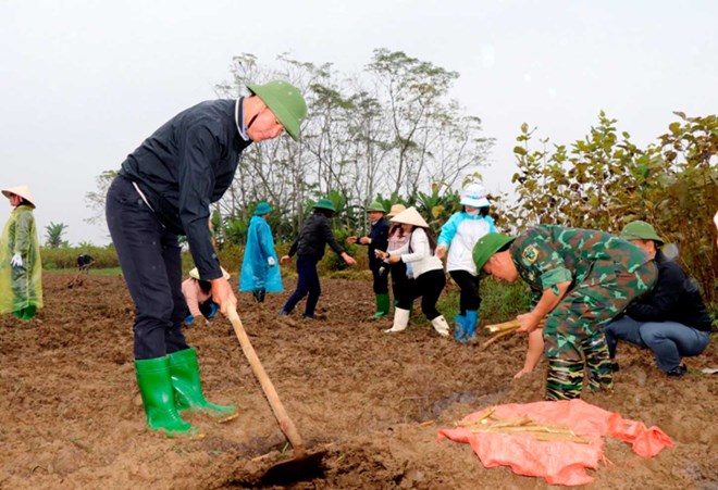 Bí thư Yên Bái tham gia trồng dâu cùng bà con