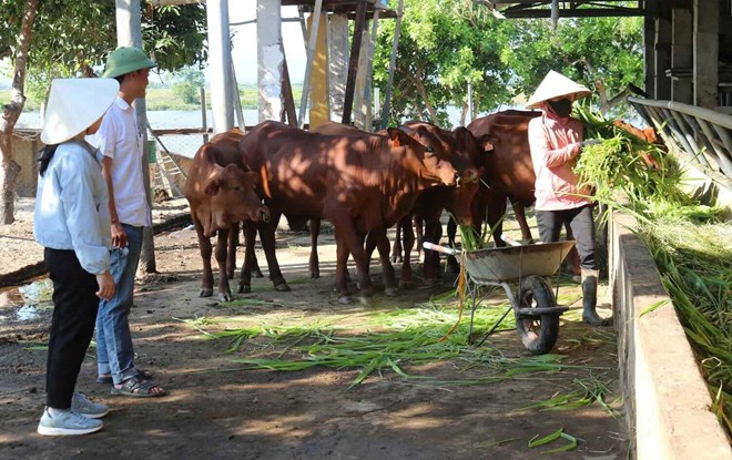 Giảm phát thải nhà kính theo kinh tế tuần hoàn