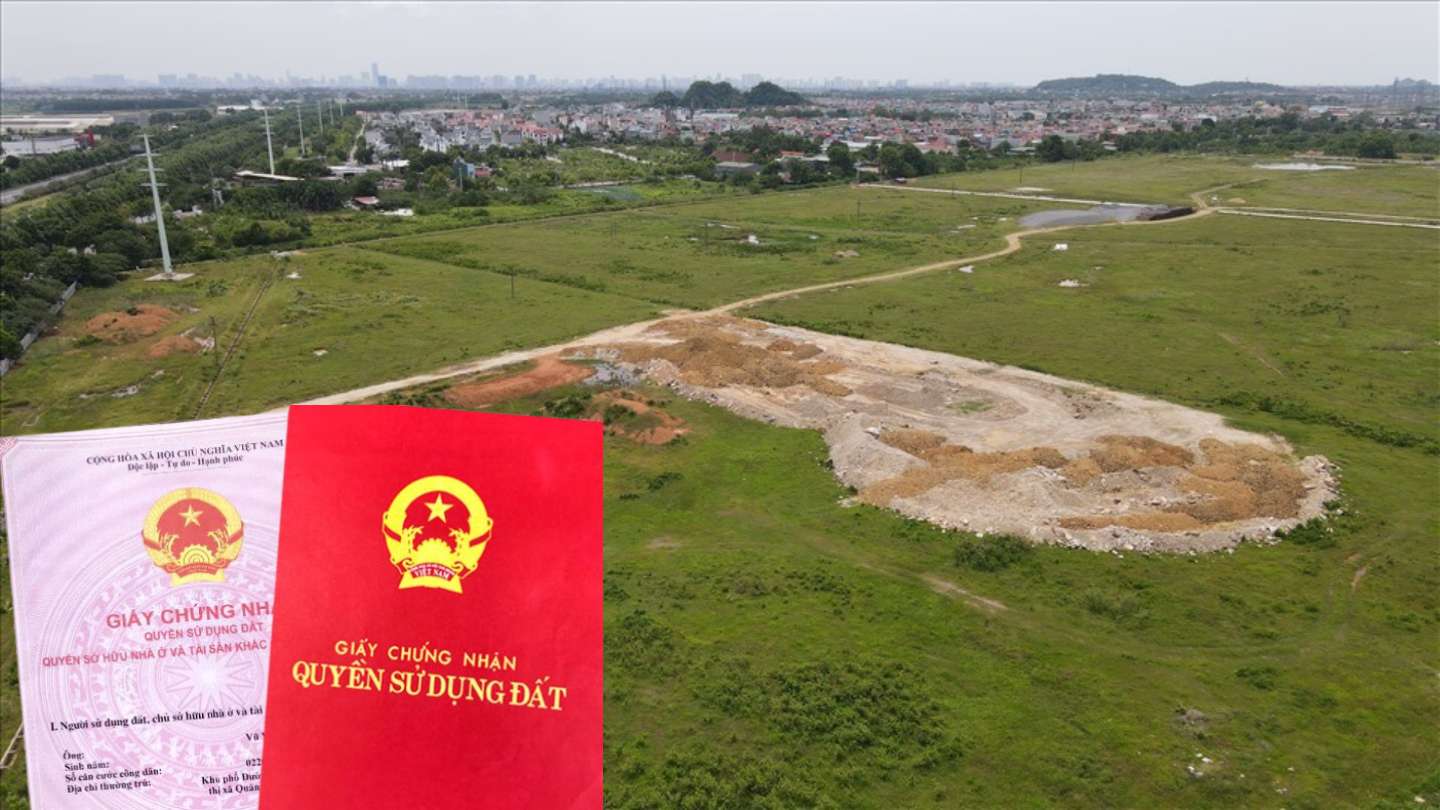 Thuế sử dụng đất nông nghiệp tính bằng thóc, thu bằng tiền. Đồ họa: Minh Thương