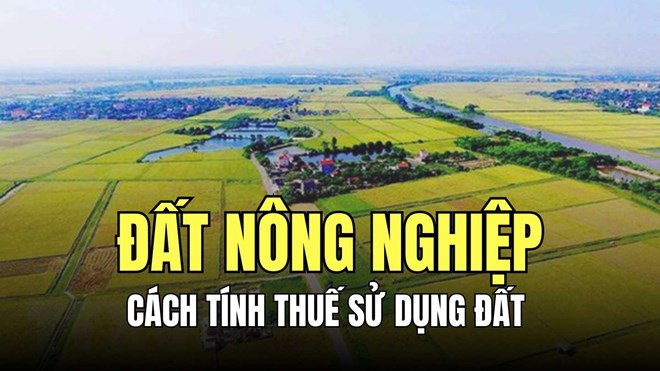 Cách tính thuế sử dụng đất nông nghiệp