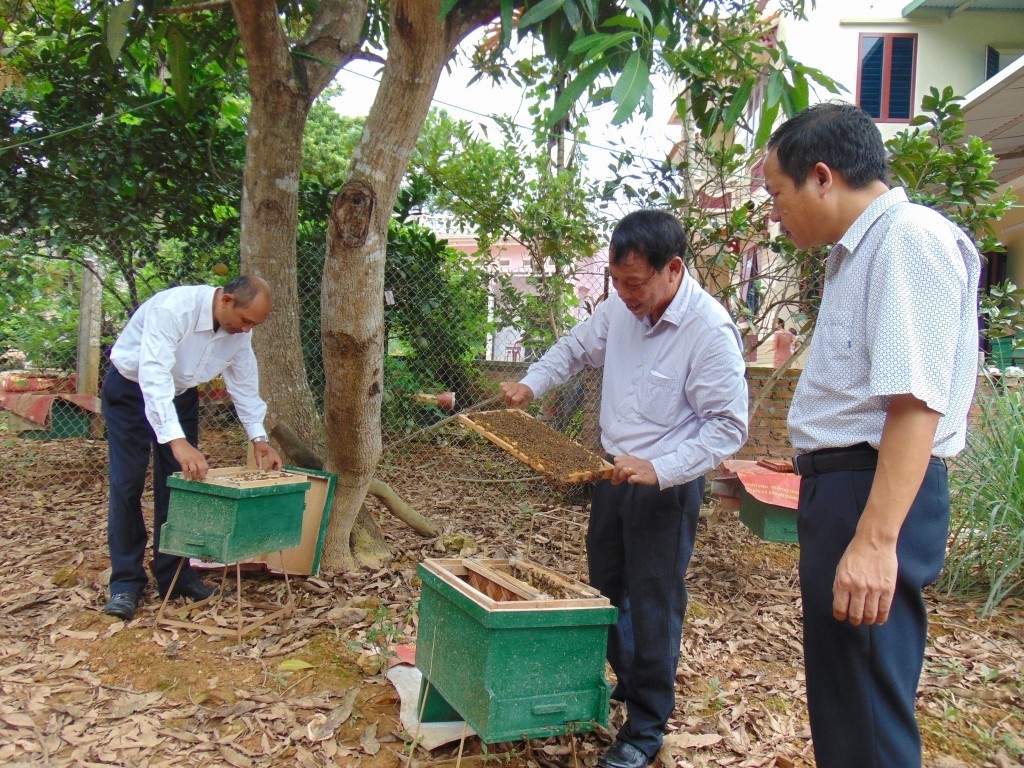 Xây dựng chuỗi liên kết sản xuất và tiêu thụ sản phẩm nông nghiệp bền vững