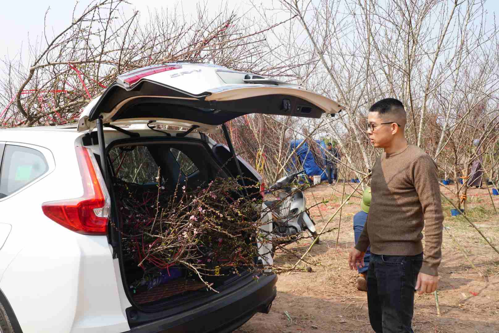 Anh Ngô Duy Hải (phường Tân Bình, TP Hải Dương) chia sẻ, năm nay, tôi mua 7 cành đào huyền để trang trí nhà cửa đón Tết vì đây là loại đào có vẻ đẹp mềm mại và sang trọng. Thường thì tôi sẽ đi mua vào thời điểm này mỗi năm để có thể chọn được những cành đào đẹp nhất, tươi tắn nhất, mà giá cả cũng hợp lý hơn so với sát Tết.
