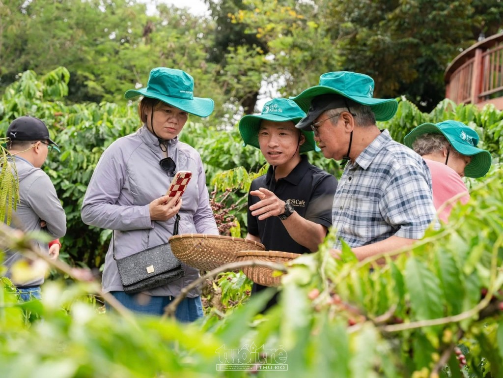 Si Farmstay – Mô hình du lịch trải nghiệm nông nghiệp