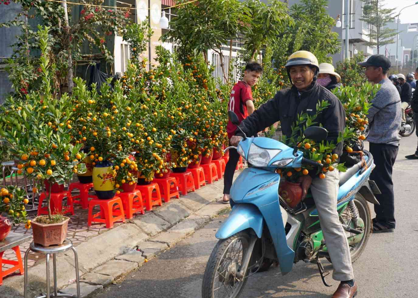 Ai nấy đều đang hối hả chọn lựa những chậu hoa, cây đào, cây quất hay các loại cây cảnh khác để mang về làm đẹp cho không gian gia đình, chuẩn bị đón Tết cổ truyền.