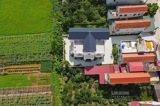 Lưu ý khi canh tác trên đất nông nghiệp có tranh chấp