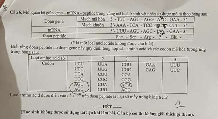 Đề thi thử môn Sinh tốt nghiệp THPT 2025 lần 1 - Sở GDĐT Thái Nguyên. Ảnh: Tuyensinh247