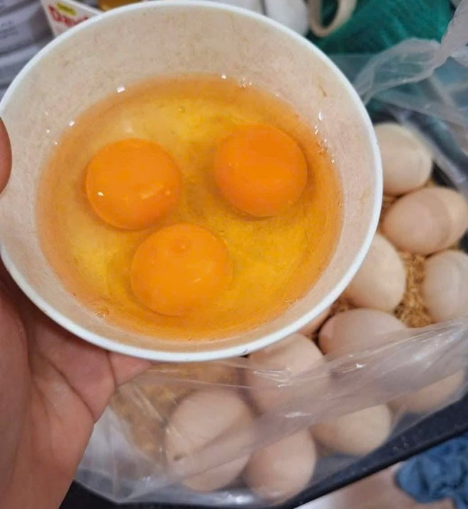 5 siêu thực phẩm nhiều protein hơn trứng