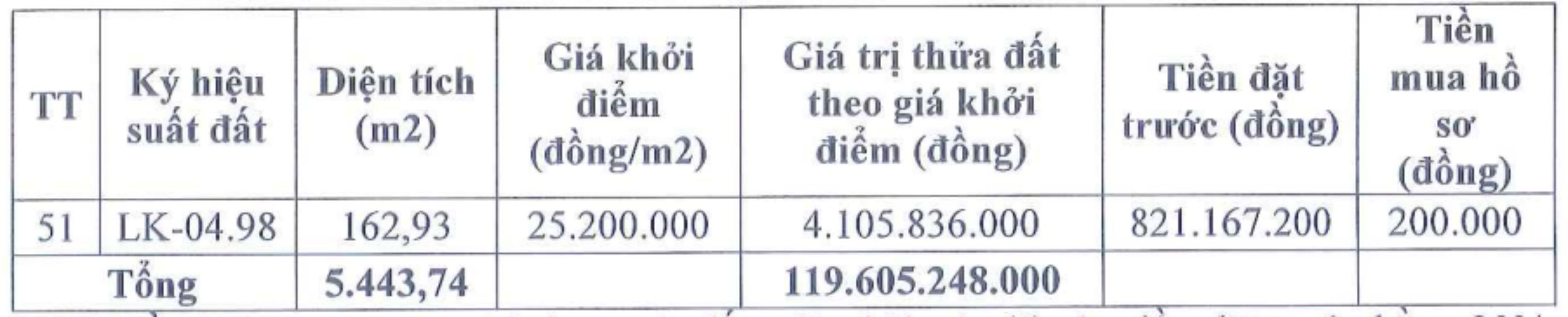 Thông tin 51 thửa đất trong phiên đấu giá ngày 31.5. Ảnh: Công ty Đấu giá Hợp danh Lạc Việt