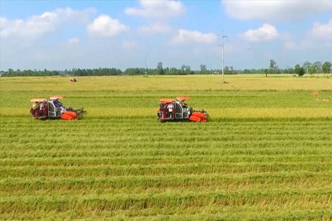 Trường hợp chuyển đổi đất nông nghiệp được miễn thuế và lệ phí