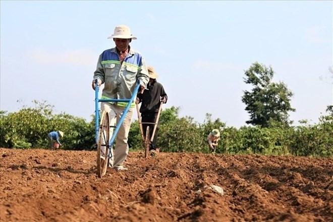 Bất động sản 24h: UBND xã sắp được cho phép chuyển đất nông nghiệp lên thổ cư